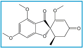 Griseofulvin EP Impurity B